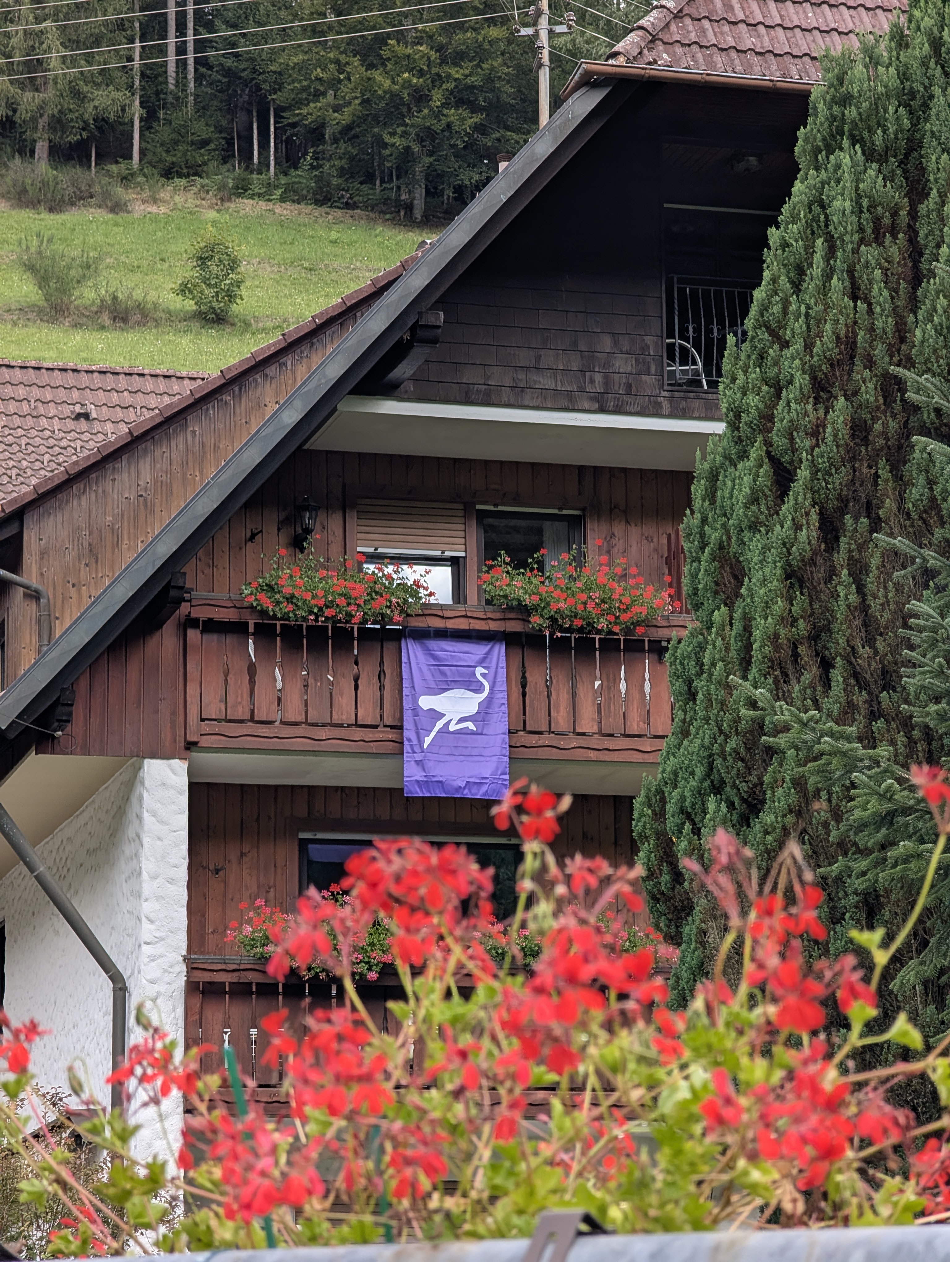 Raising the nostr flag