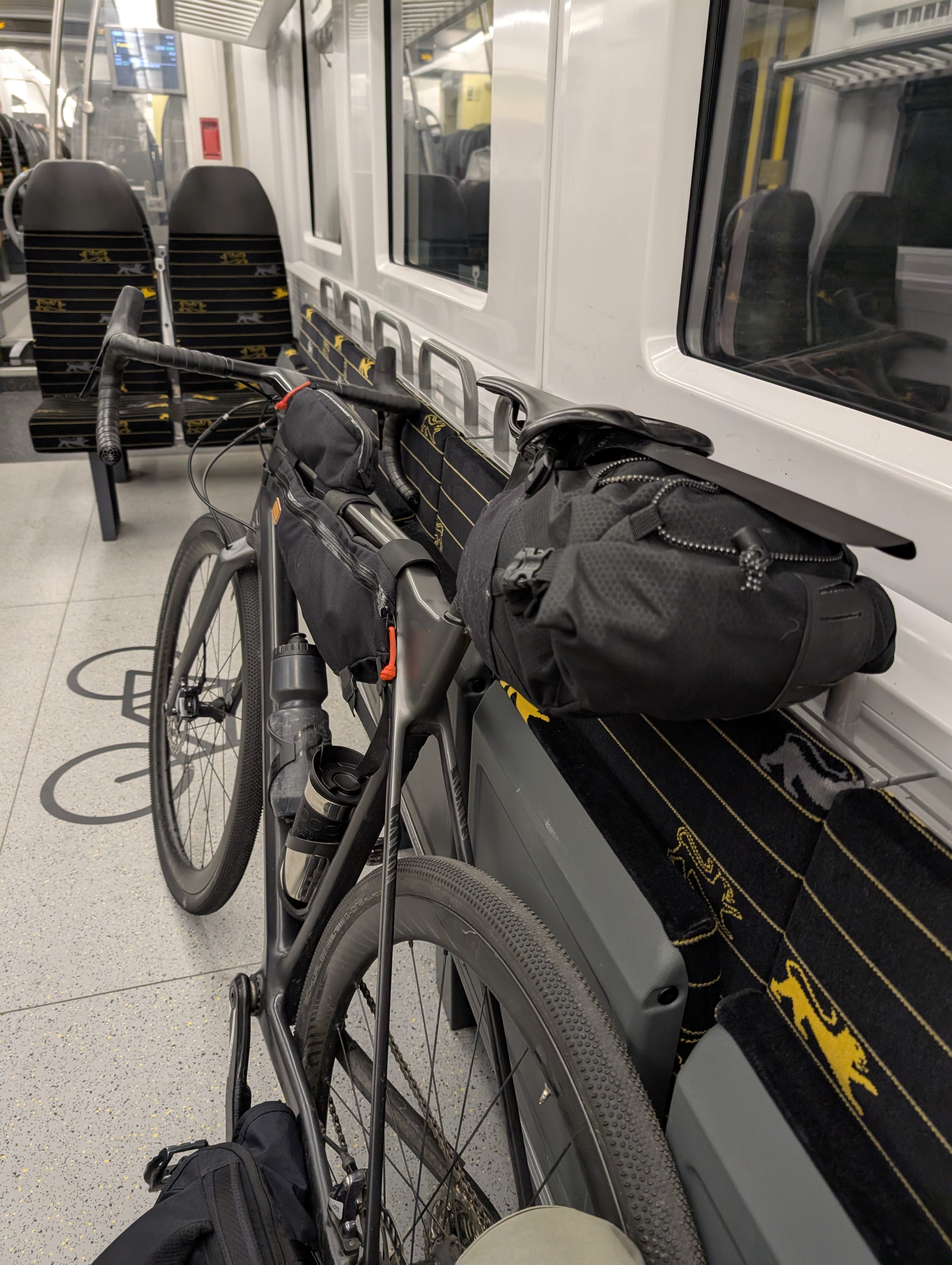 Fully packed bicycle in the train